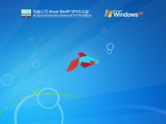 电脑公司 Ghost WinXP SP3 U盘特别版 V2022.04